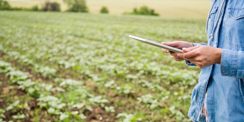 2148579949-rl187a6x9h1nrvya064e5vhqxxelj07jds3iufocqw