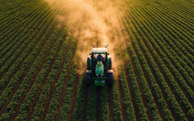 Transição da safra reforça ferramentas de segurança no seguro