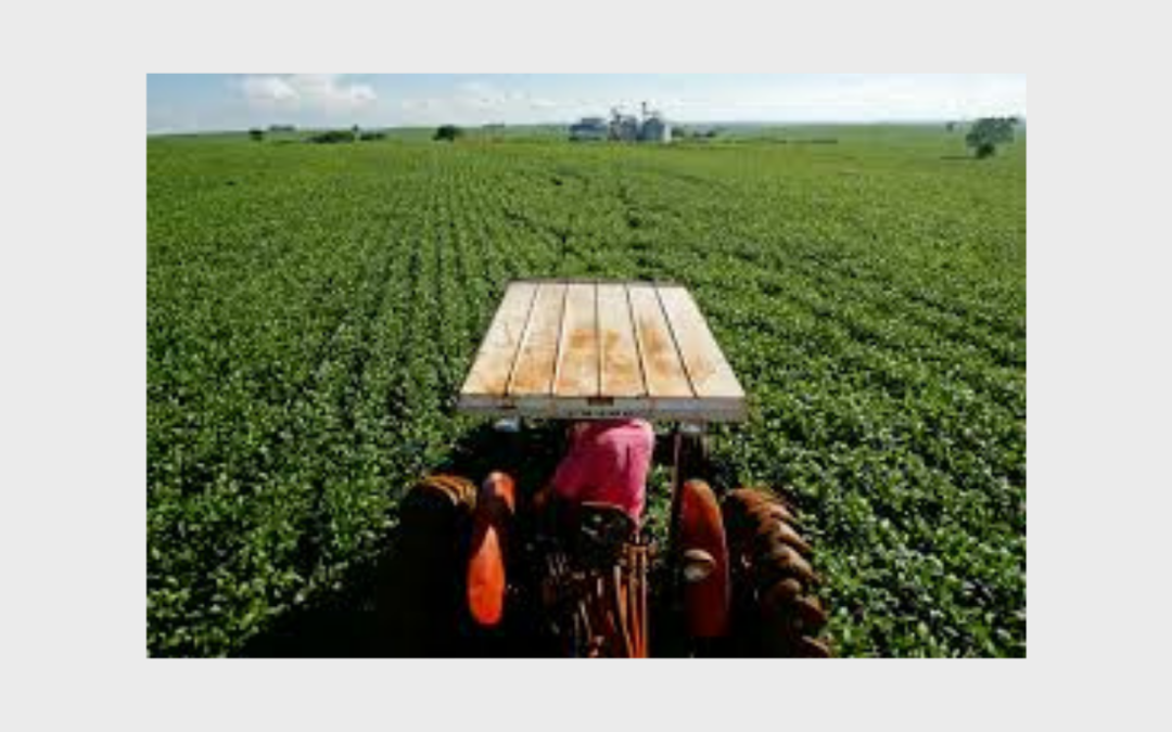 Nova lei do seguro rural amplia proteção ao produtor