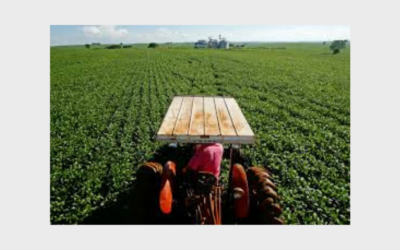 Nova lei do seguro rural amplia proteção ao produtor