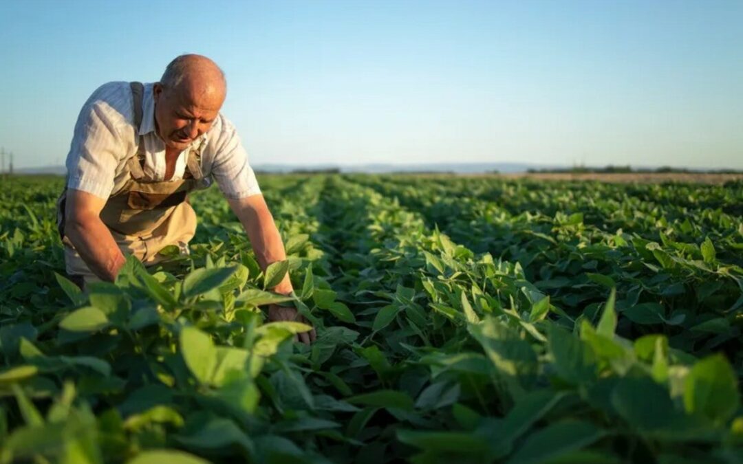 Seguro de vida rural ganha espaço e indenizações avançam 127%