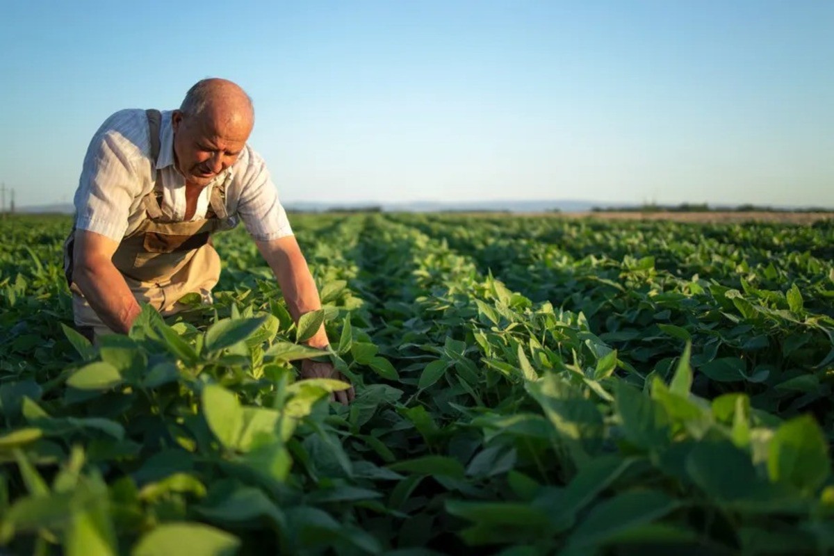 agro-agronegocios-agrotempo-credito_rural-1789307488