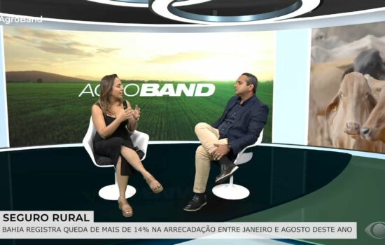 Os impactos da queda do Seguro Rural na Bahia; confira a entrevista do diretor Renato Magalhães para o programa Agro Band da TV Band Os impactos da queda do Seguro Rural na Bahia; confira a entrevista do diretor Renato Magalhães para o programa Agro Band da TV Band